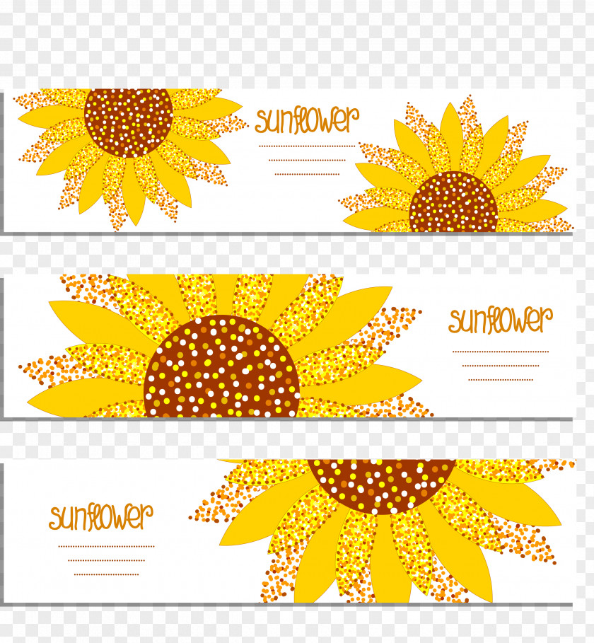Sunflower Greeting Card Common Banner PNG
