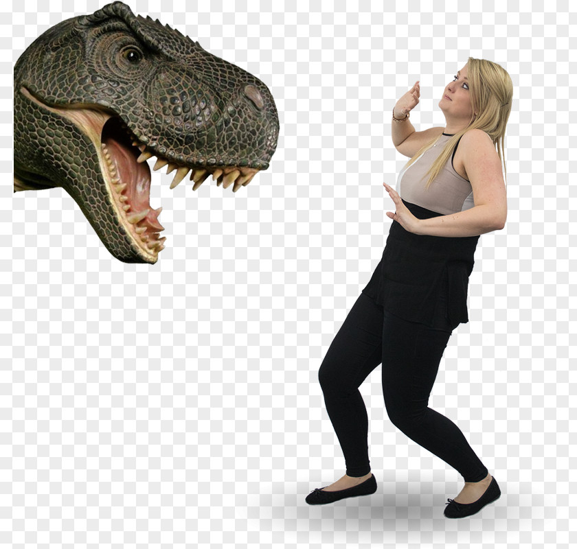 Zara Tyrannosaurus Aggression Emotion Sedgwick Claims Management Services PNG