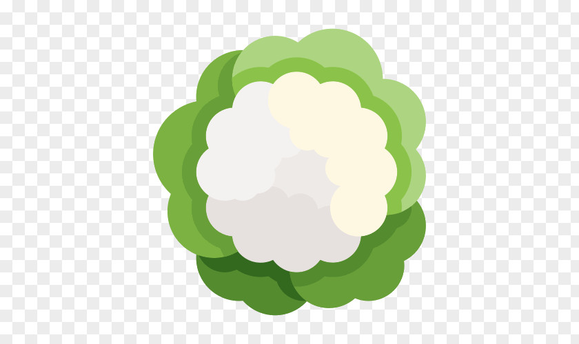 Cauliflower Food Vegetable Download PNG