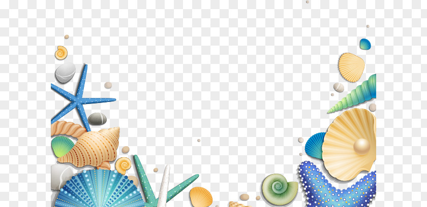 Decorative Sea Shells Starfish Euclidean Vector Clip Art PNG
