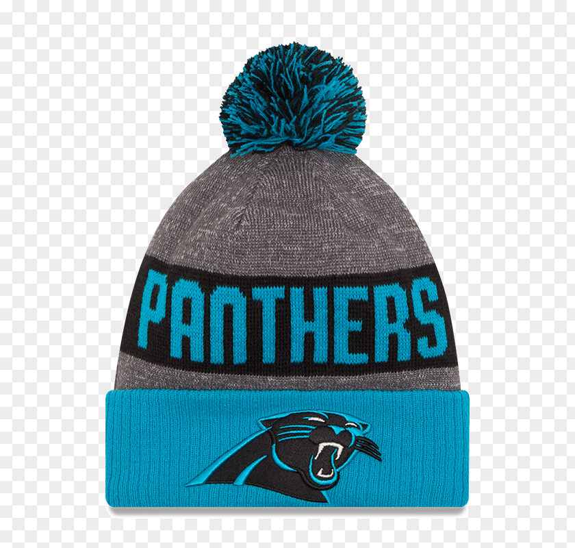 NFL 2016 Carolina Panthers Season Beanie Knit Cap PNG