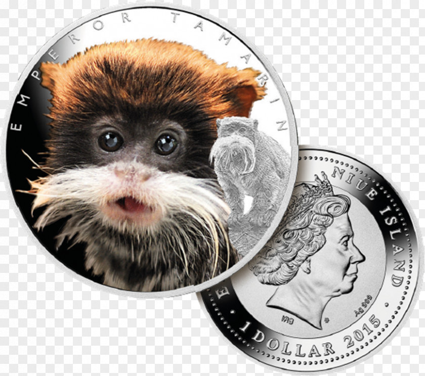 Silver Bearded Emperor Tamarin Coin Monkey PNG