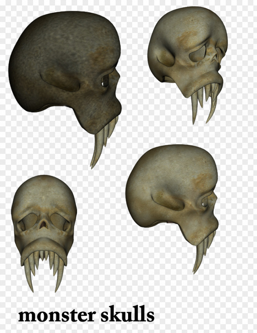 Skeleton Snout Jaw Mouth Skull PNG