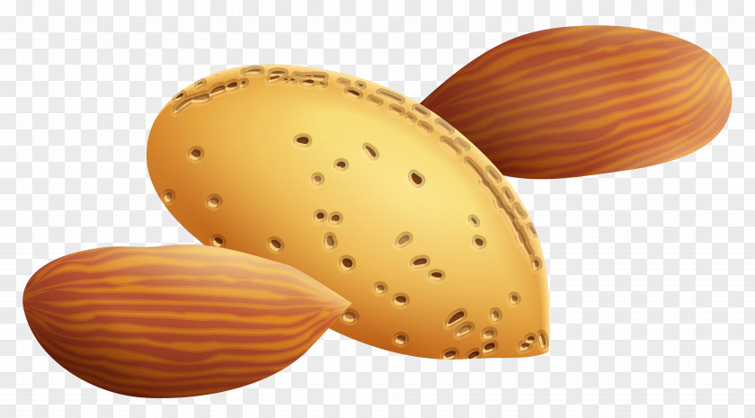Almonds Clipart Picture Nucule Icon PNG