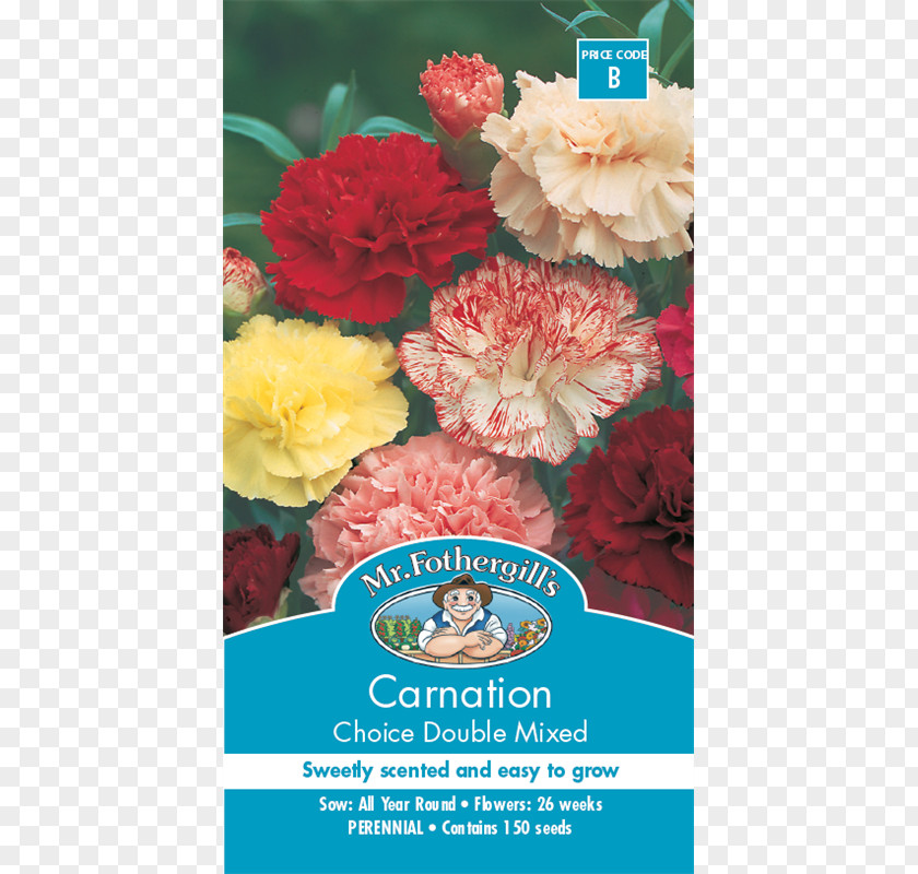 Flower Carnation Seed Blume Clove PNG