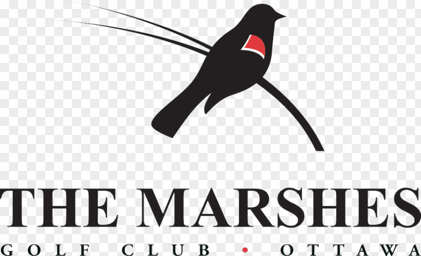 Line Beak Logo Marsh Brand Font PNG