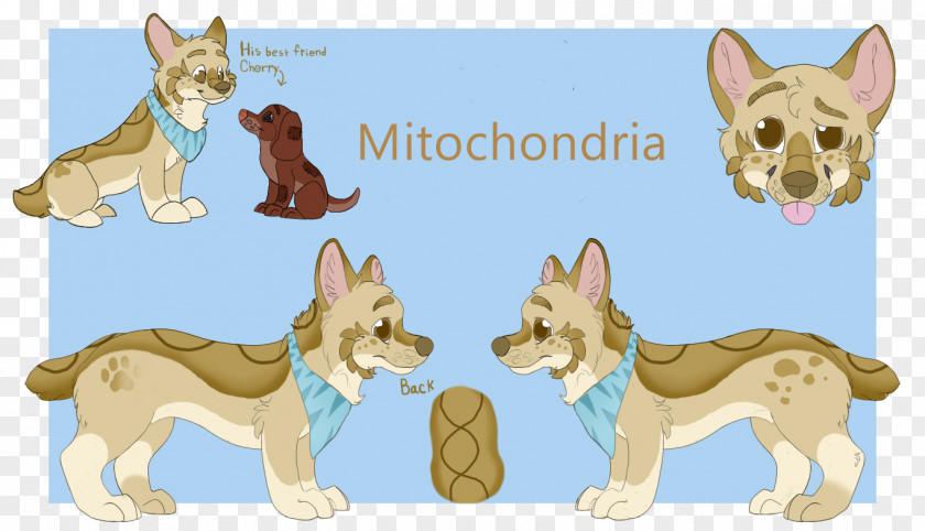 Puppy Dog Breed Snout Tail PNG