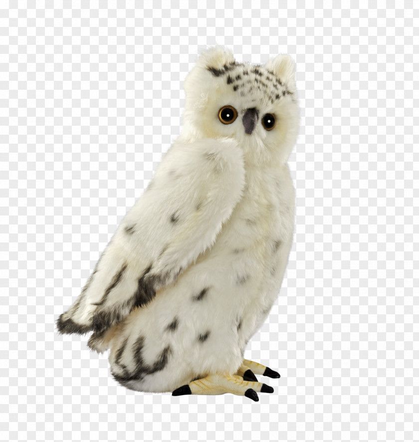 Owl Snowy Bird Stuffed Animals & Cuddly Toys PNG