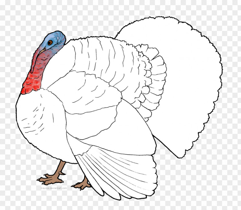 Chicken Turkey Meat As Food Bird PNG