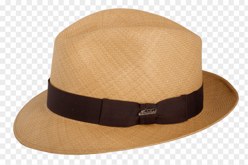 Hat Fedora Carludovica Palmata Panama PNG
