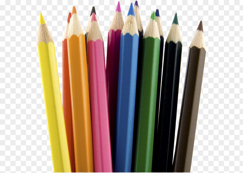 Pencil Colored Paper Clip Art PNG