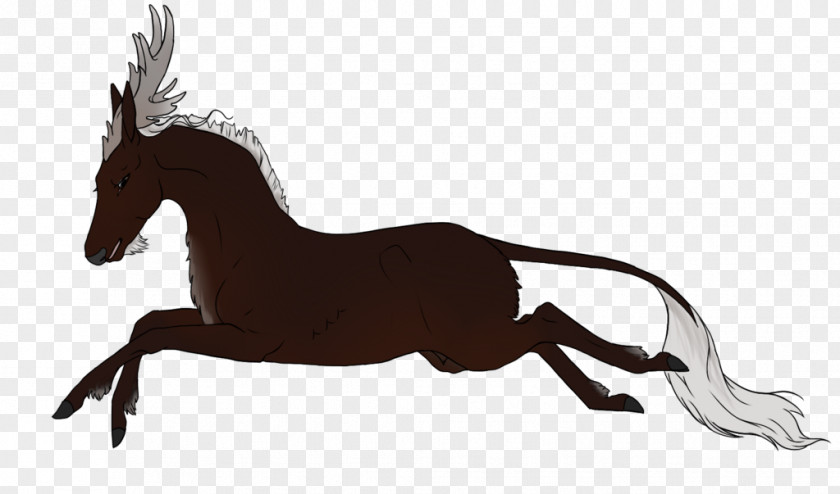 Royal Stag Mule Mustang Stallion Rein Mane PNG