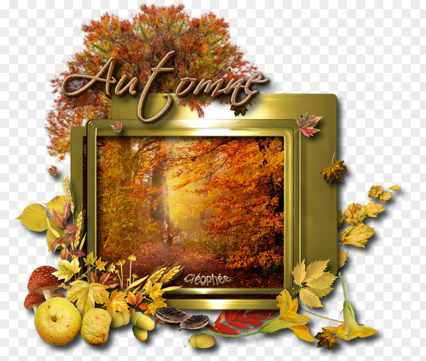 Tribute To Shirley Temple Autumn Day Logos Leaf PNG