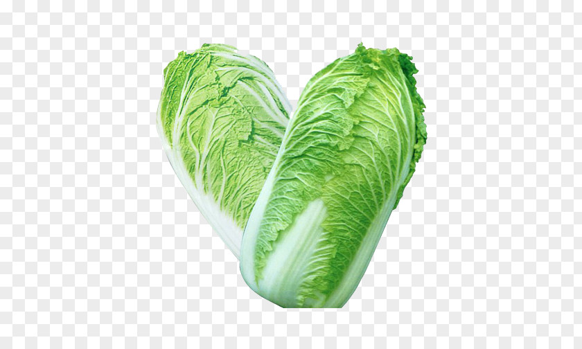 Two Chinese Cabbage Cuisine Vegetable Broccoli PNG