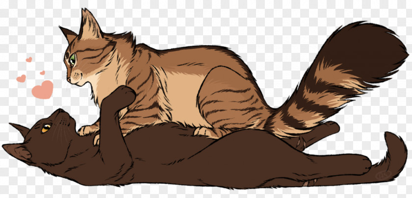 Cat Whiskers Warriors Shrewpaw Thornclaw PNG