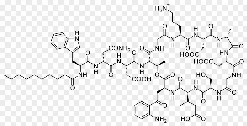 Daptomycin Lipopeptide Skin And Structure Infection Antibiotics Staphylococcus Aureus PNG