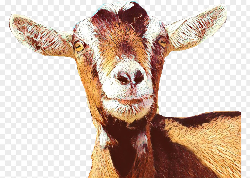 Goat Cattle Mammal Snout PNG