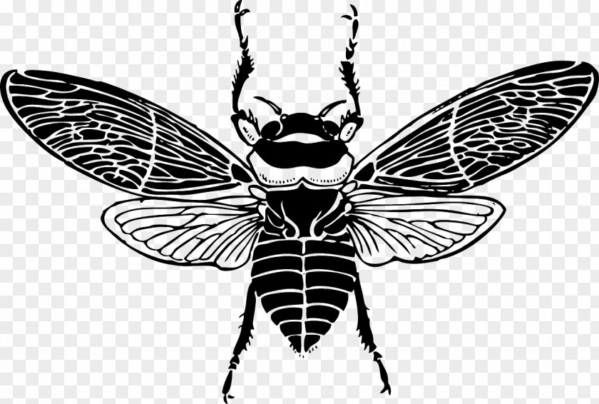 Mining Honey Bees Bee Clip Art PNG