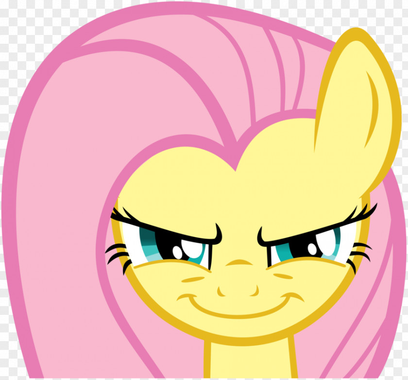 My Little Pony Fluttershy Twilight Sparkle Rarity Pinkie Pie Applejack PNG