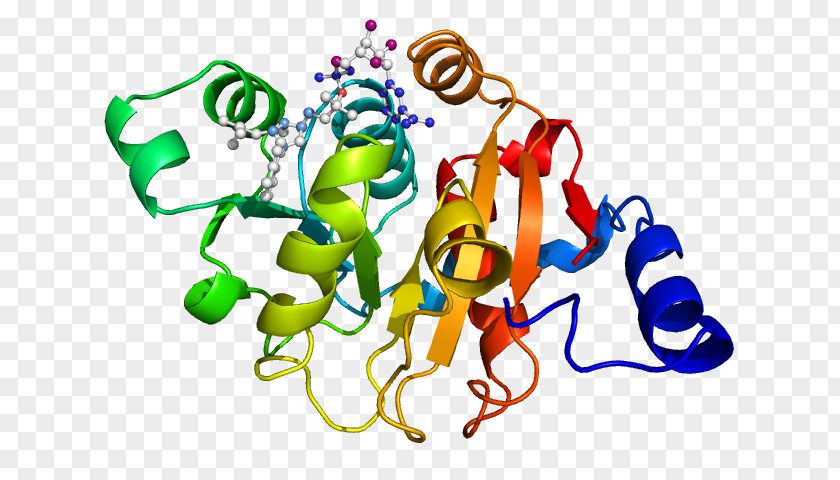 Protein Gene Expression Ketol-acid Reductoisomerase Clip Art PNG