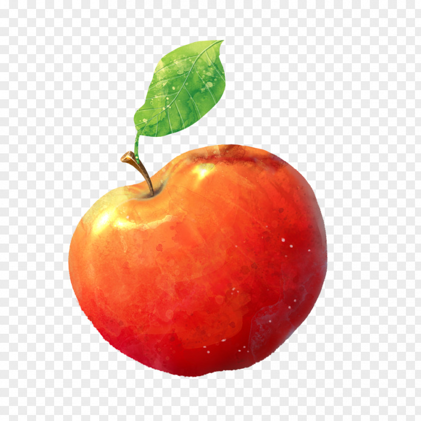 Red Apple Illustration PNG