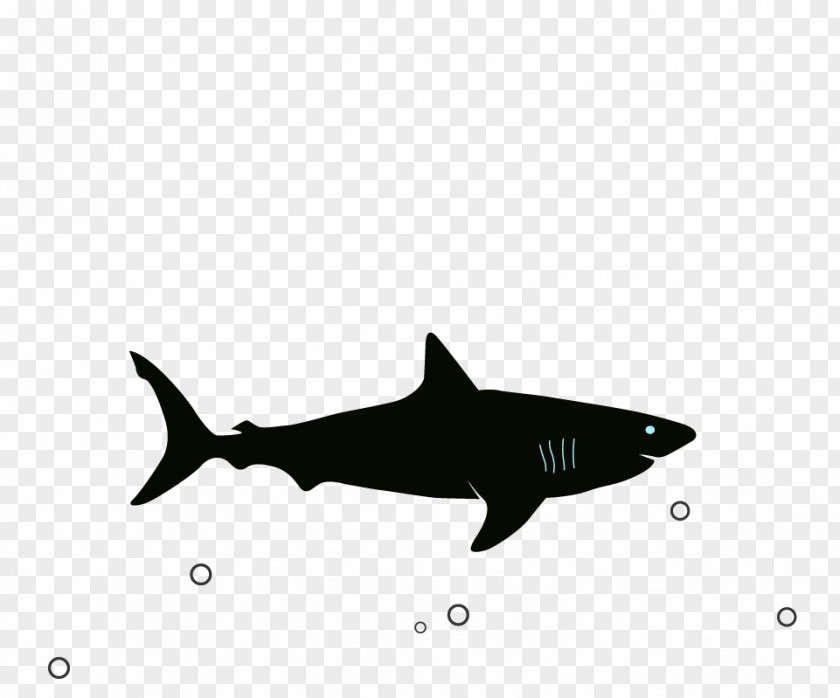 Shark Great White Megalodon Image Blue PNG