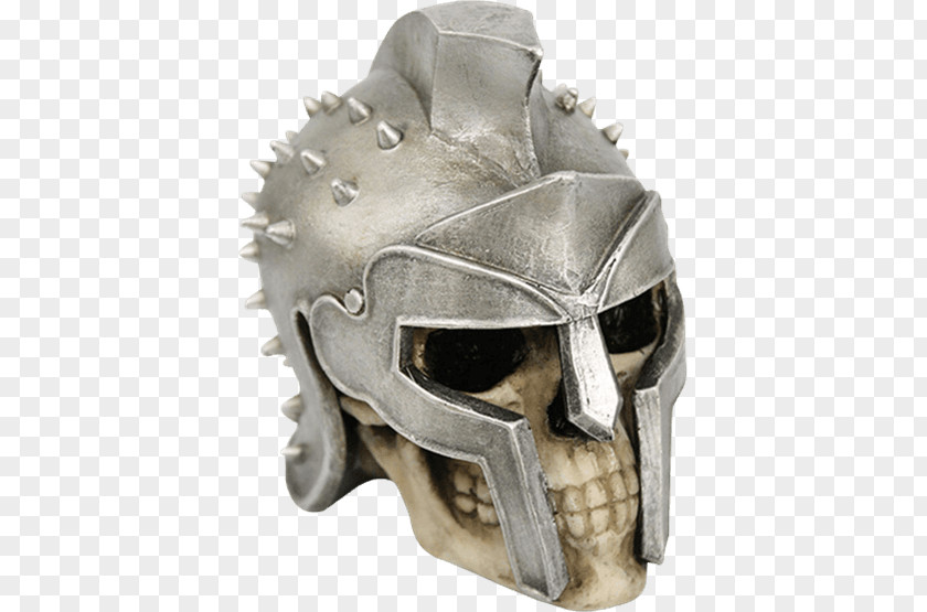 Skull Maximus Human Skeleton Bone PNG