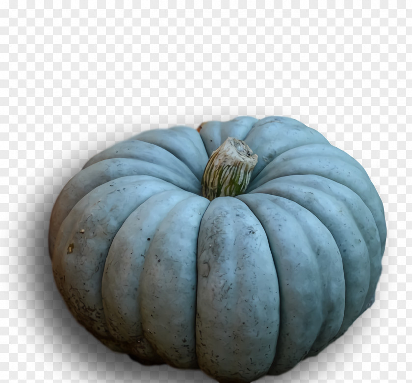 Squash Winter Gourd PNG