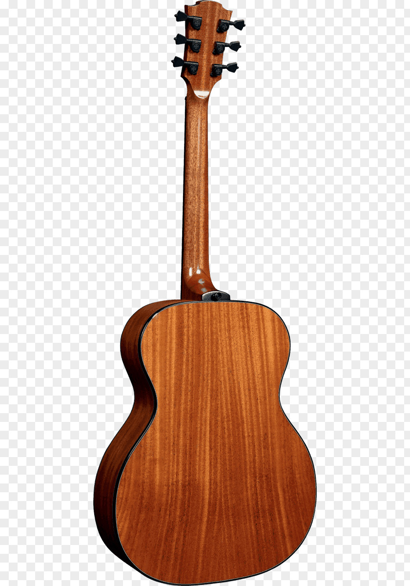 Acoustic Guitar Twelve-string Acoustic-electric C. F. Martin & Company PNG