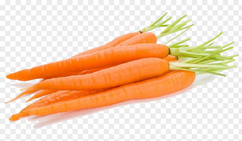 Carrot Hd Baby Vegetable Orange Clip Art PNG