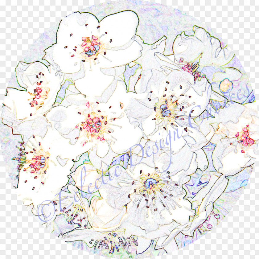 Flower Floral Design Cut Flowers Pattern PNG