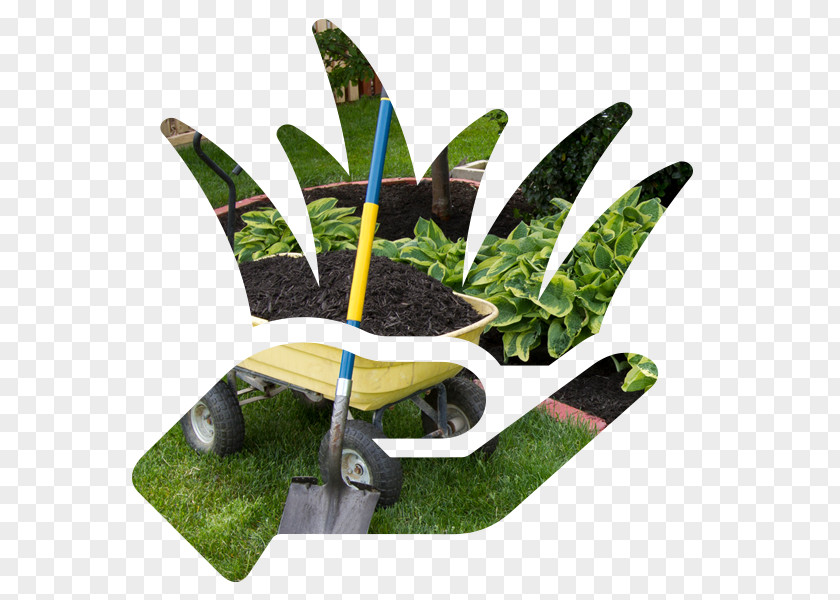 Gardening Service Leaf Flowerpot Tree PNG