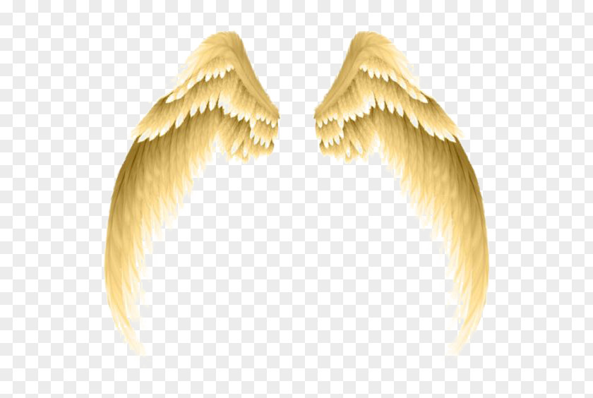 Golden Wings Photography Clip Art PNG