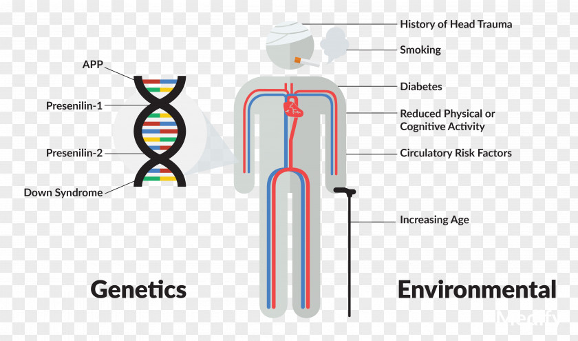 Health Alzheimer's Disease Risk Factor Heredity Cause PNG