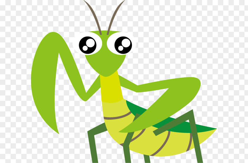 Insect Mantis Clip Art PNG