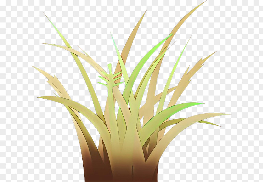 Plant Stem Flowerpot Drawing Of Family PNG