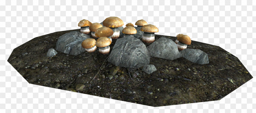 Stool The Elder Scrolls V: Skyrim Cave Human Feces Imp PNG