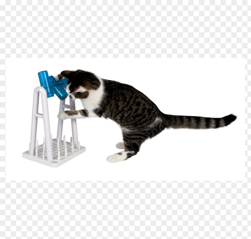 Turn Around And Look Cat Play Toys Food Mouse Scratching Post PNG