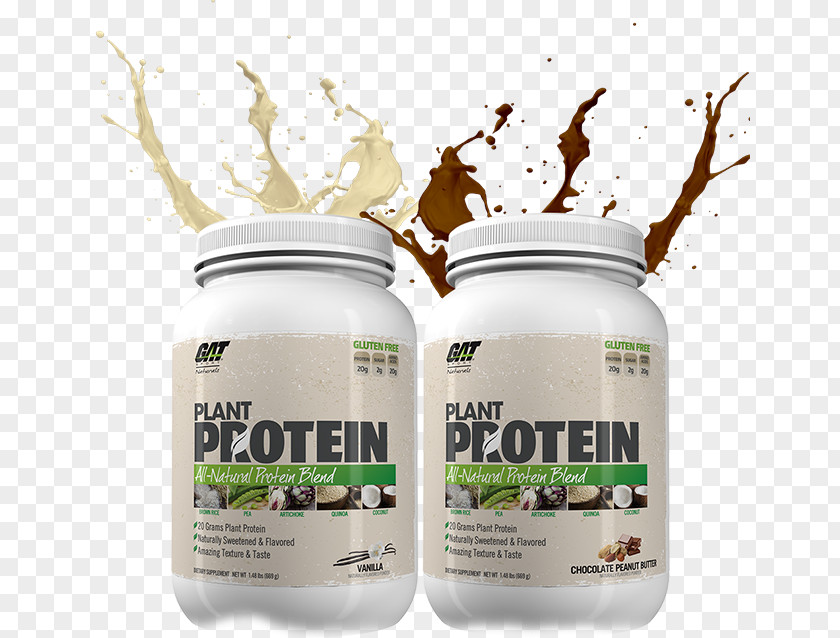 Bottle Plant Dietary Supplement Whey Protein Bodybuilding PNG