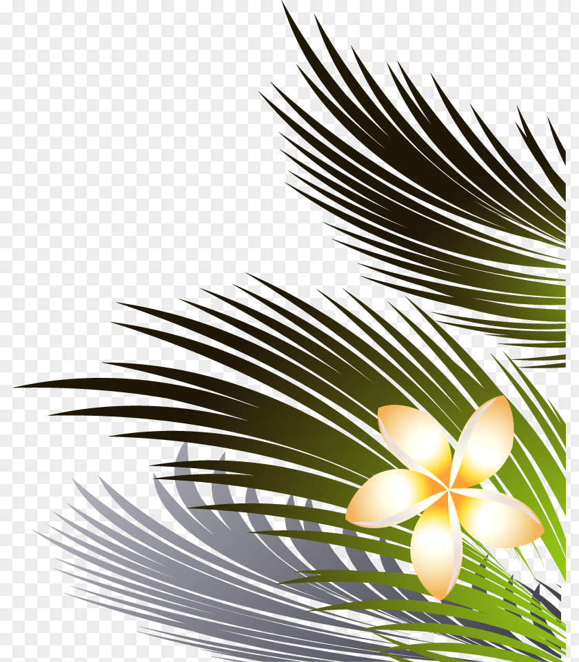 Coconut Leaves And Flowers Right Lower PNG