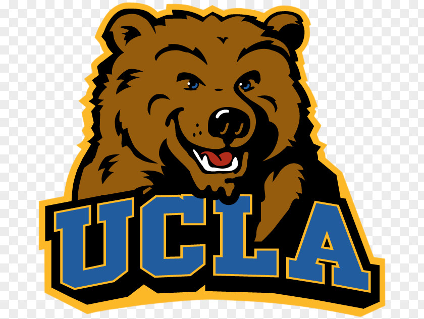 Laço University Of California, Los Angeles UCLA Bruins Men's Basketball Wall Decal Sticker PNG