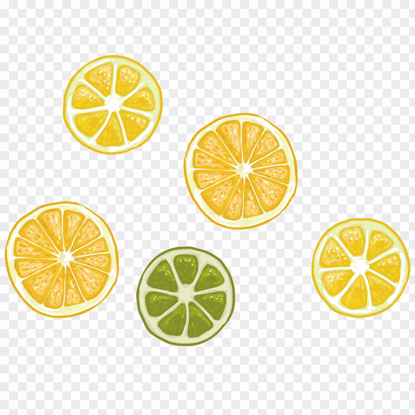 Lemon Lemonade Juice Fruit Yellow PNG