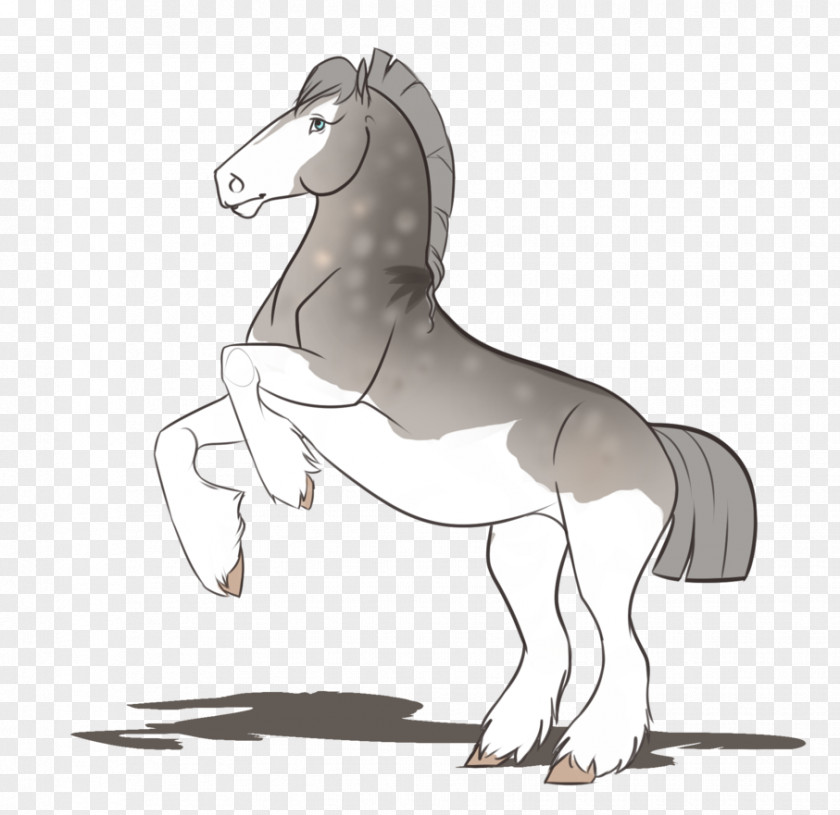 Mustang Mane Pony Foal Stallion PNG