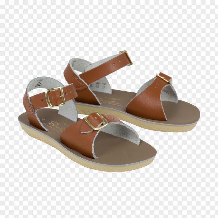 Sandal Saltwater Sandals Buckle Leather Flip-flops PNG
