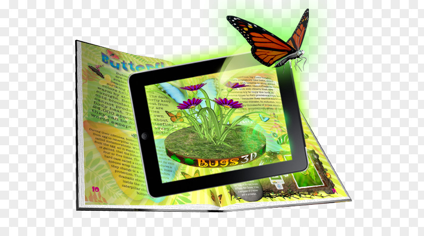 Toy Books Ecosystem Fauna PNG