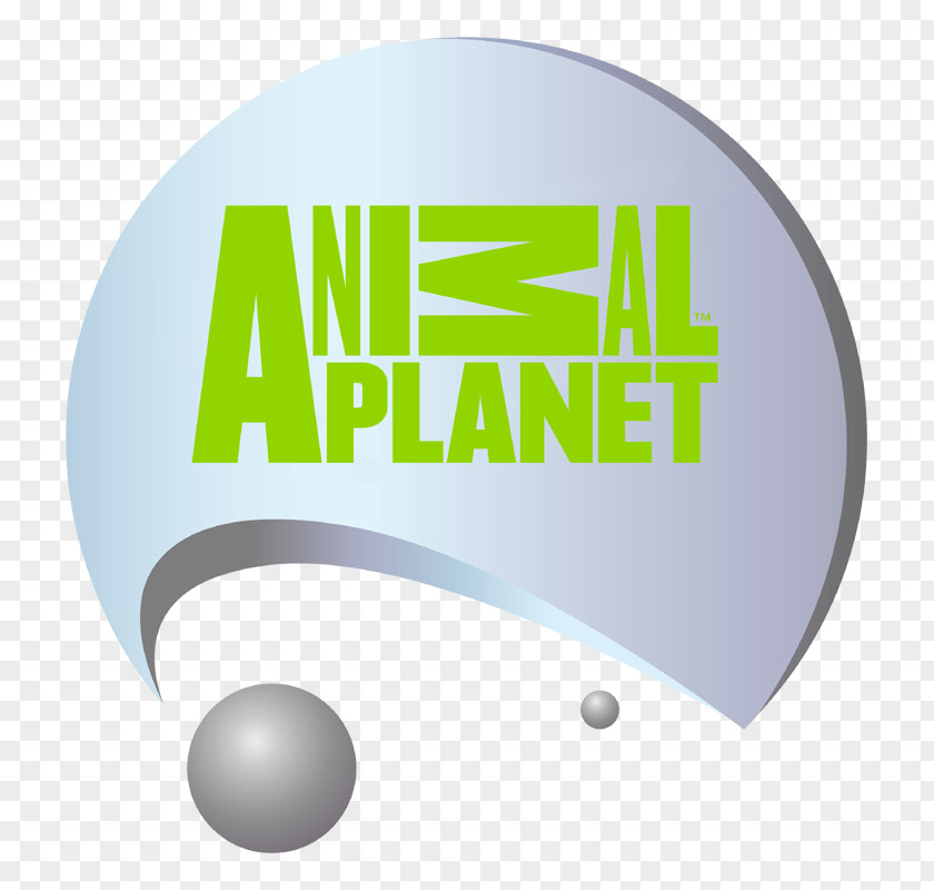 Animal Planet Logo Brand Schoolagenda Font PNG