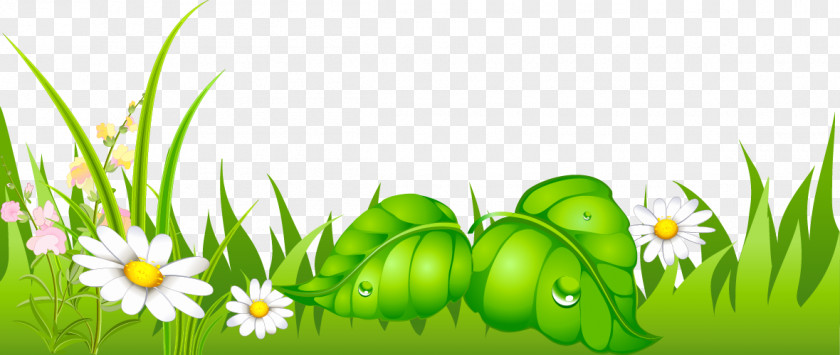 Grass With Daisies Ground Picture Clip Art PNG