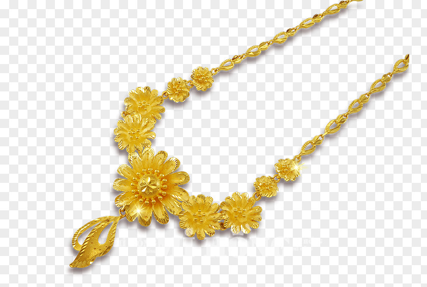 Jewellery Amber Body Necklace PNG
