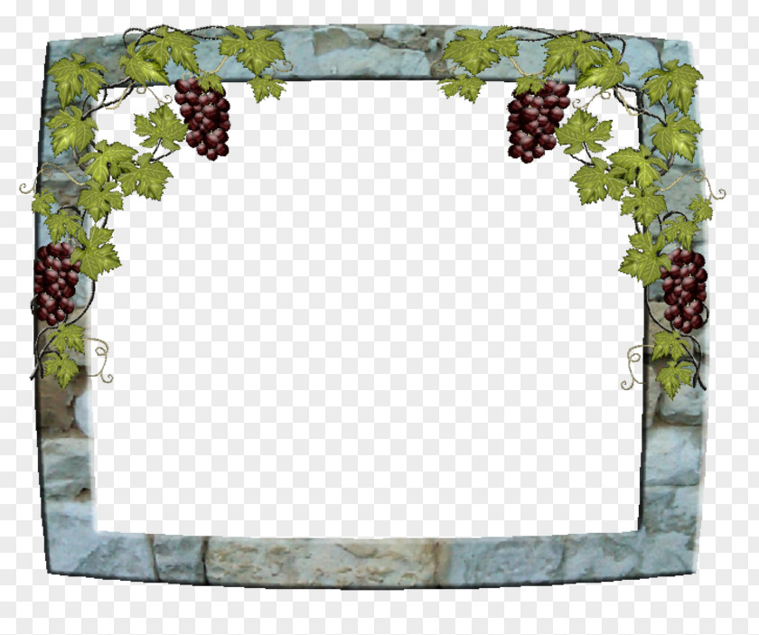 Raisin Common Grape Vine Picture Frames Vigne Paper PNG