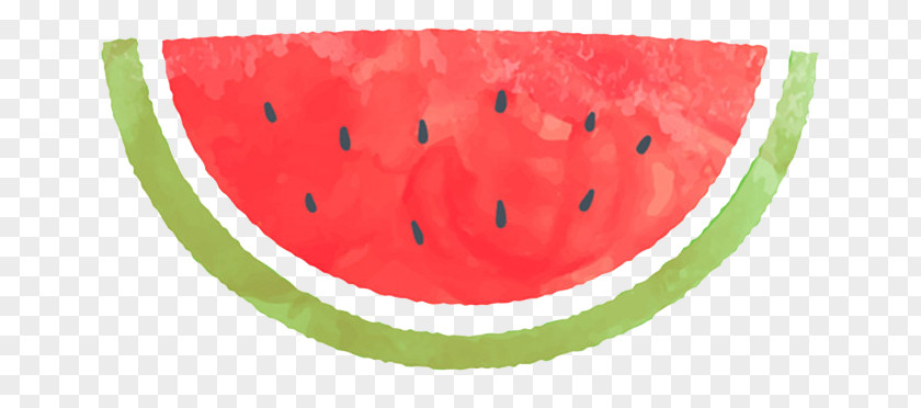 Watermelon Citrullus Lanatus Watercolor Painting Summer PNG